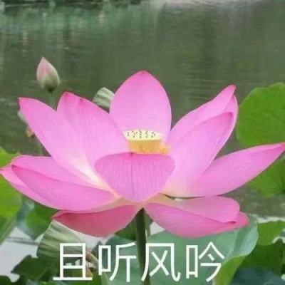 超次元坦克破解版下载